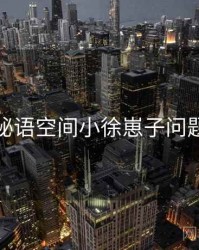 关于秘语空间小徐崽子问题排查