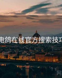 电鸽在线官方搜索技巧