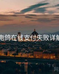 电鸽在线支付失败详解
