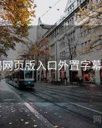 电鸽网页版入口外置字幕说明