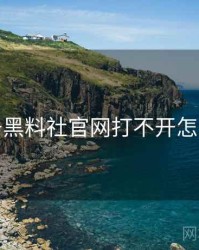 关于黑料社官网打不开怎么办