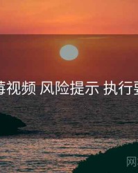 蓝莓视频 风险提示 执行要点