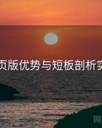 电鸽网页版优势与短板剖析实操建议
