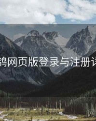 电鸽网页版登录与注册详解