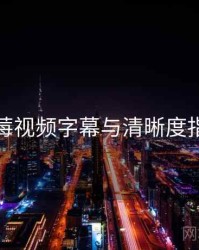 蓝莓视频字幕与清晰度指南
