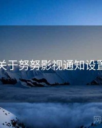 关于努努影视通知设置