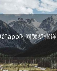 电鸽app时间锁步骤详解