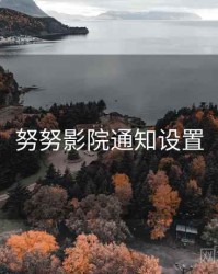 努努影院通知设置