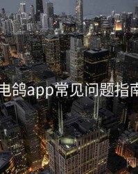 电鸽app常见问题指南