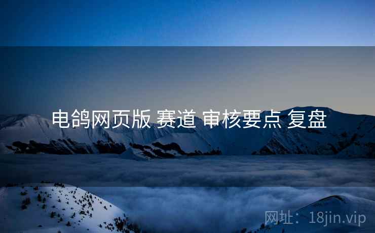 电鸽网页版 赛道 审核要点 复盘