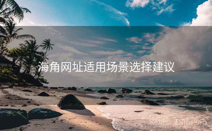 海角网址适用场景选择建议