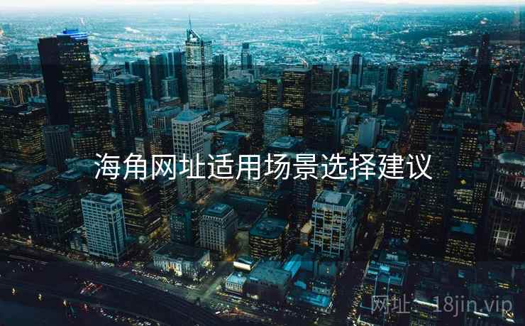 海角网址适用场景选择建议