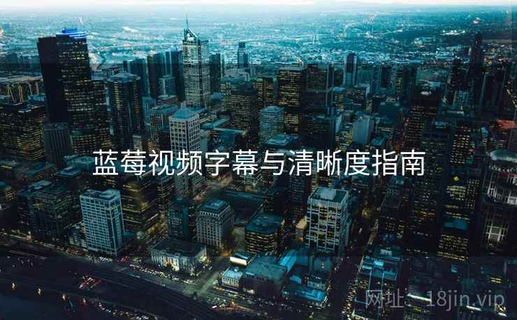 蓝莓视频字幕与清晰度指南