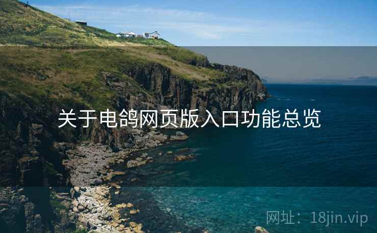 关于电鸽网页版入口功能总览
