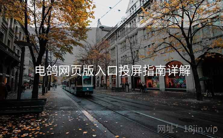 电鸽网页版入口投屏指南详解