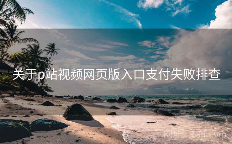 关于p站视频网页版入口支付失败排查