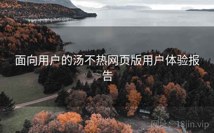 面向用户的汤不热网页版用户体验报告