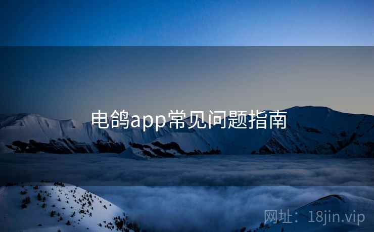 电鸽app常见问题指南
