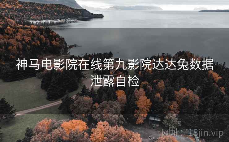 神马电影院在线第九影院达达兔数据泄露自检