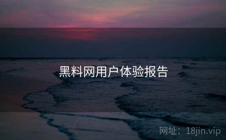 黑料网用户体验报告