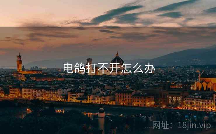 电鸽打不开怎么办