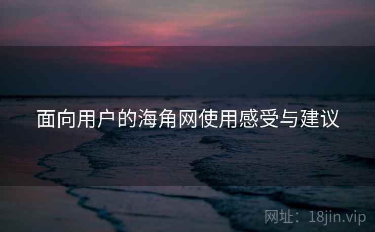 面向用户的海角网使用感受与建议