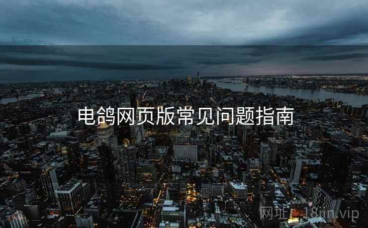 电鸽网页版常见问题指南