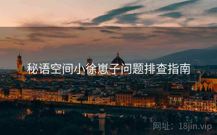 秘语空间小徐崽子问题排查指南