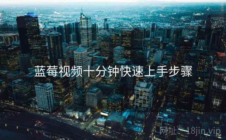 蓝莓视频十分钟快速上手步骤