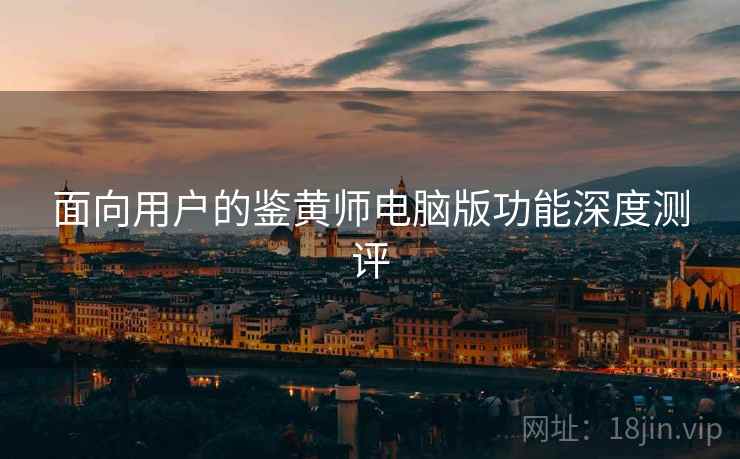 面向用户的鉴黄师电脑版功能深度测评
