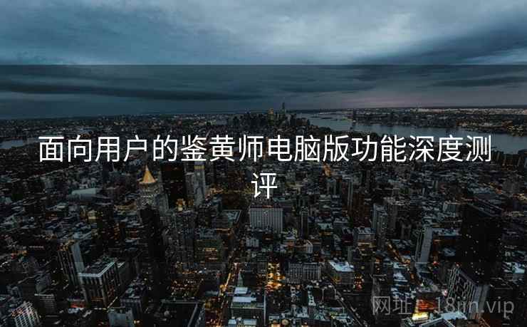 面向用户的鉴黄师电脑版功能深度测评