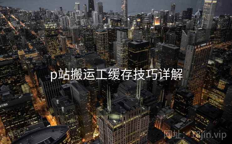 p站搬运工缓存技巧详解