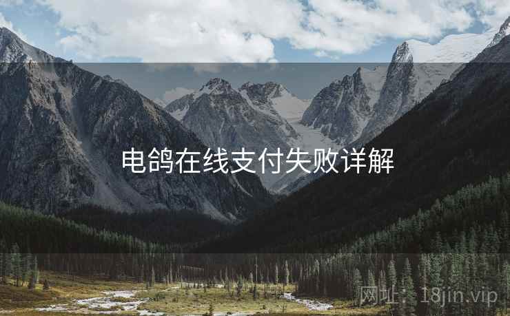 电鸽在线支付失败详解