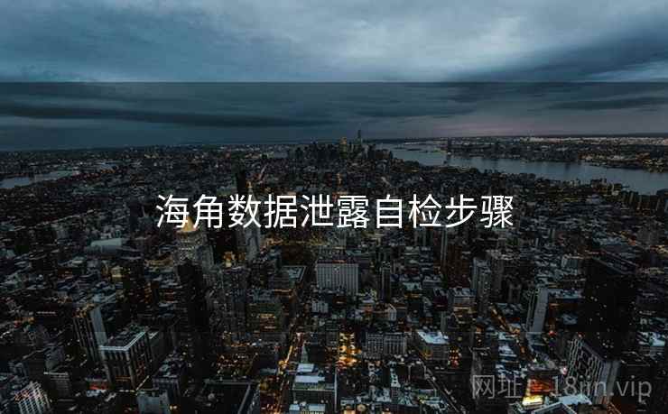 海角数据泄露自检步骤