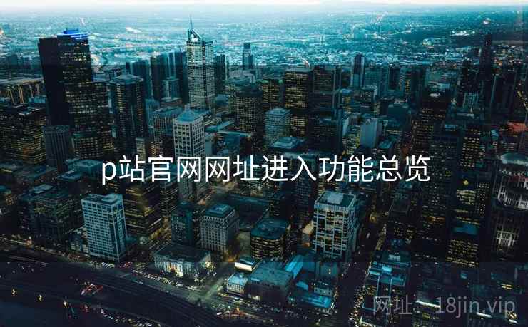 p站官网网址进入功能总览