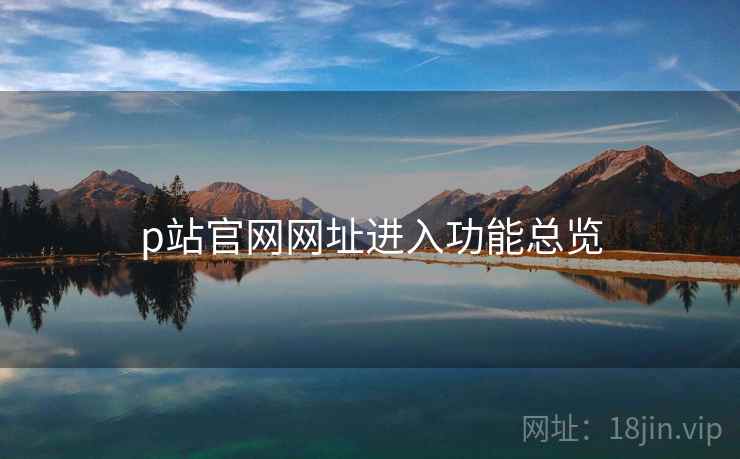 p站官网网址进入功能总览