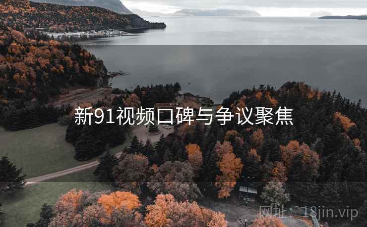 新91视频口碑与争议聚焦